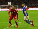 09.02.2019, FC Bayern Muenchen - FC Schalke 04

Hier nur Vorschaubilder !